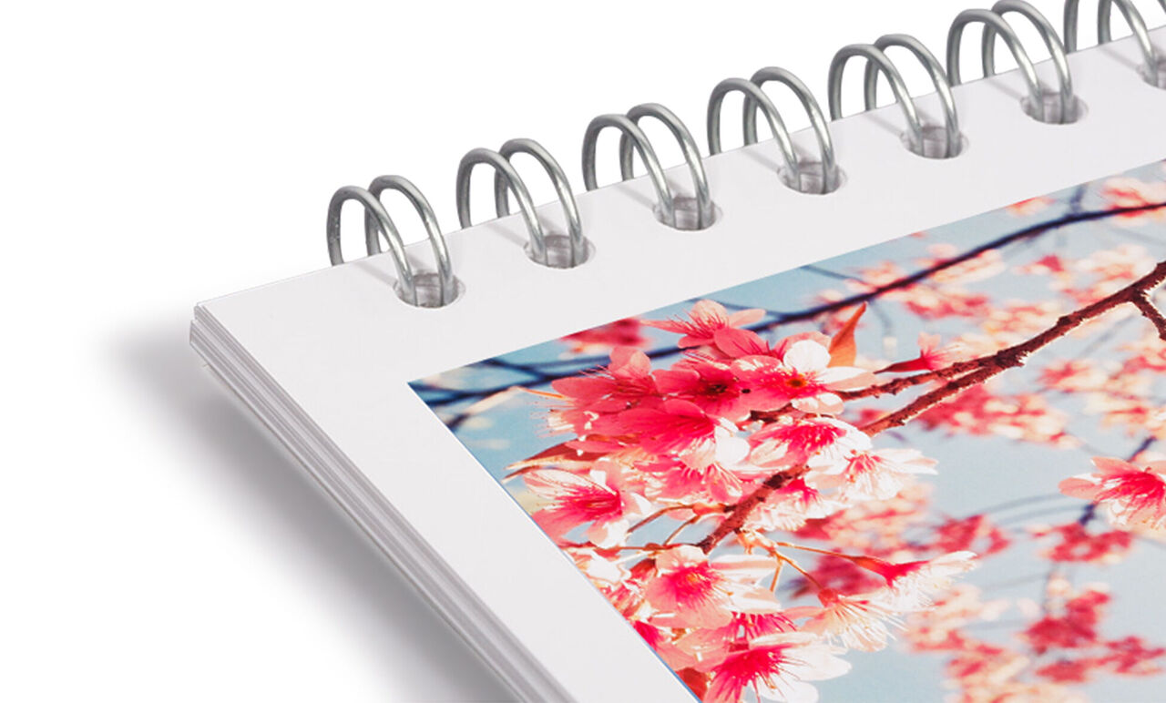 Et åbent fotobog med et billede af blomstrende kirsebærblomster.