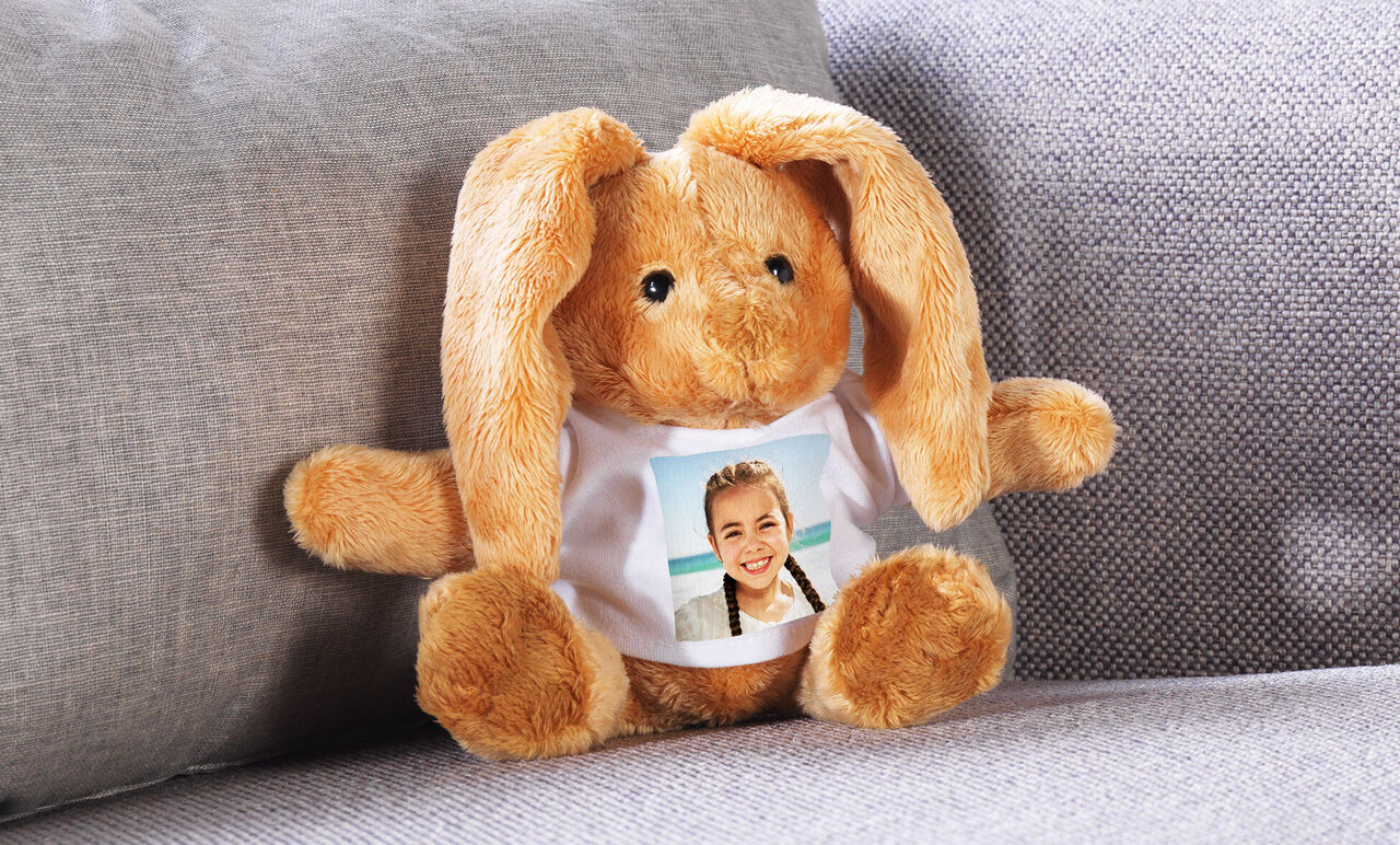 En sød, fluffy kanin sidder på en sofa. Den bærer en T-shirt med et foto.