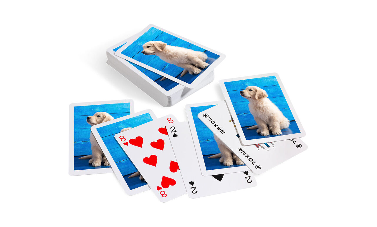 Kort med billeder af en glad hund på blå baggrund
