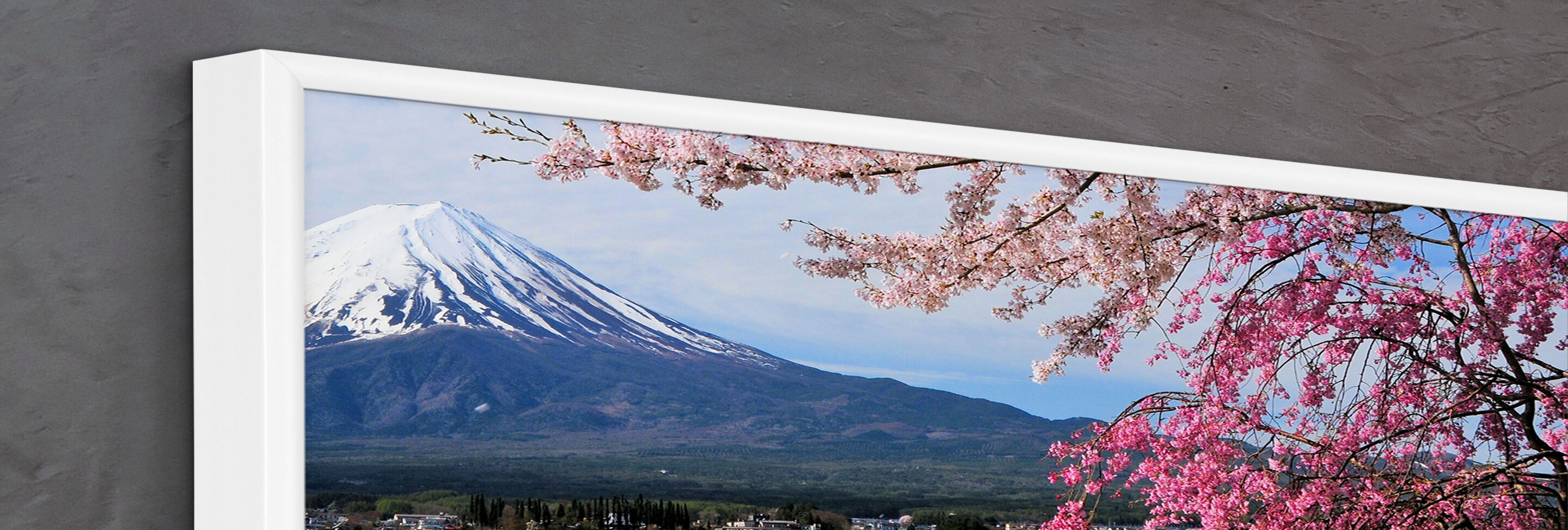 Blomstrende kirsebærtræ med Mount Fuji i baggrunden, himlen er klar.