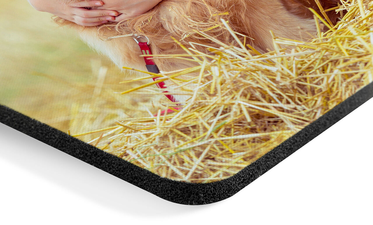 Detalje af et kvalitets fotopuzzle med et billede af en hund på halm.