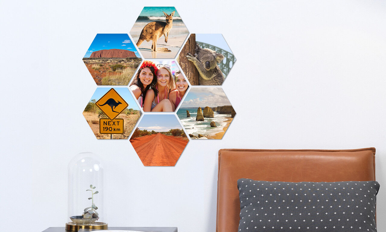 Hexagonal fotocollage med rejseminder, herunder dyre- og naturbilleder.