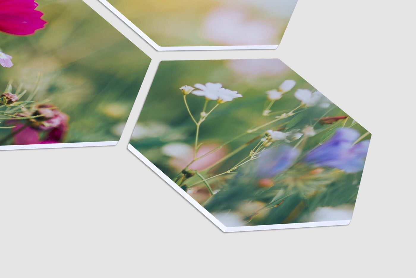 Sekskantede fotoudskrivninger med farverige blomsterdesigns.