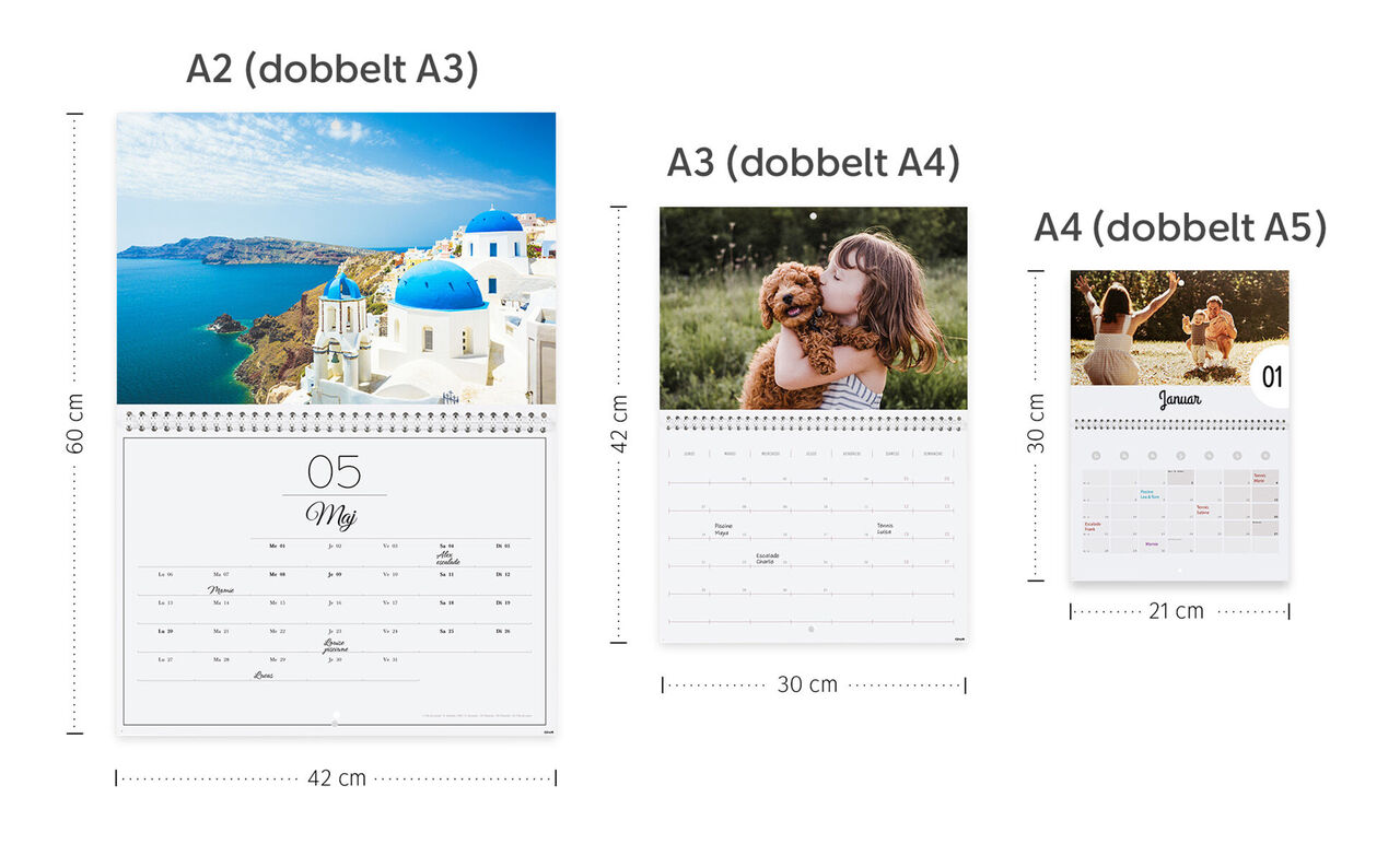 Tre forskellige formater af CEWE fotokalendere med billeder og størrelser. A2 viser en kystlinje, A3 et sødt hundebillede, og A4 en måneds kalender.